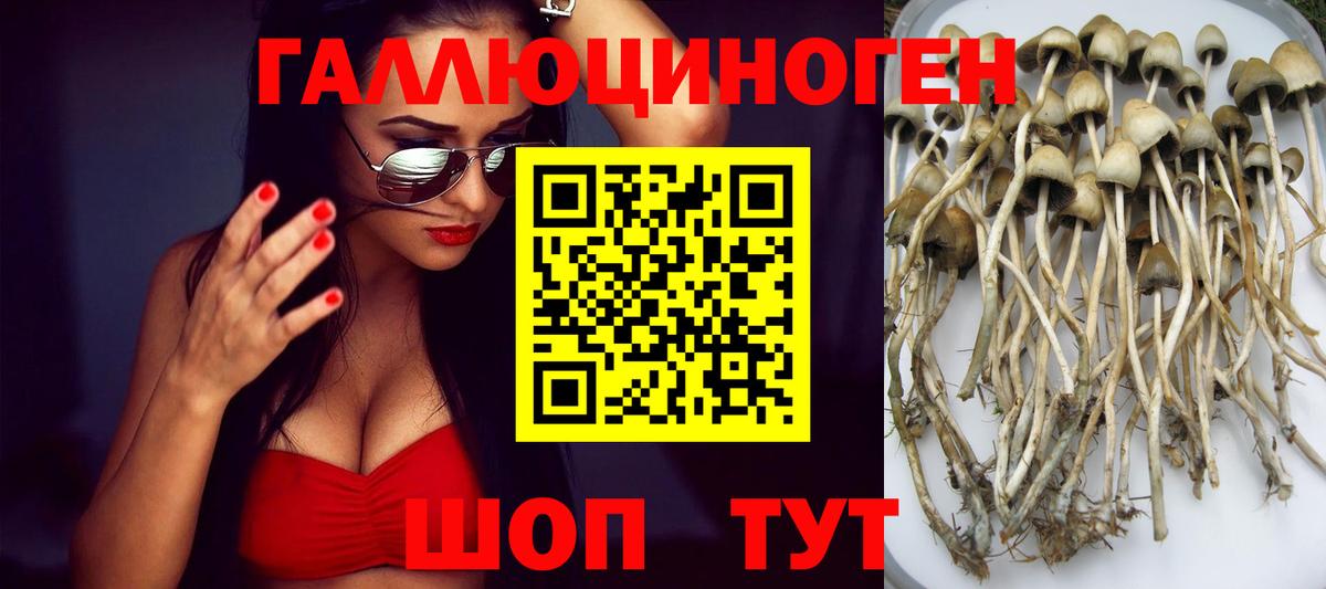 Галлюциногенные грибы Magic Shrooms  Вход с VPN  дарнет шоп  Бор  Псилоцибиновые грибы Psilocybe 